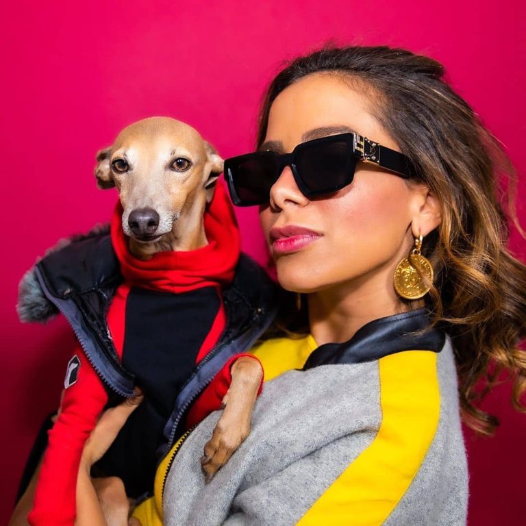 Pet Celebridade: Plínio, o dog da Anitta já ganhou até prêmio!