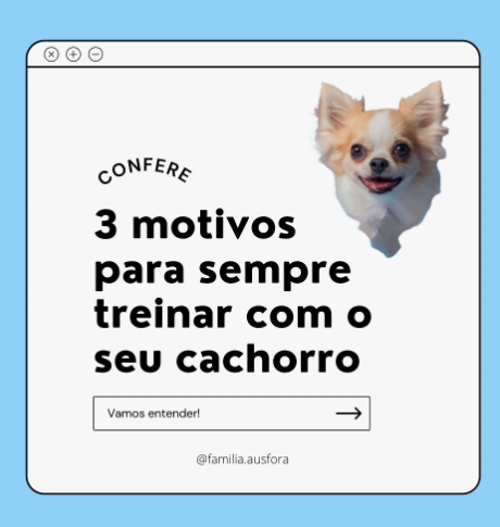 3 Motivos para sempre treinar com o seu cachorro por Família Ausfora