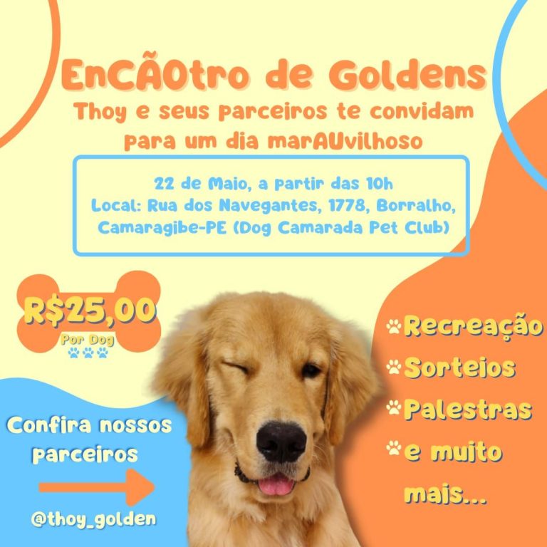 EnCÃOtro de Goldens no Dog Camarada Pet Club!