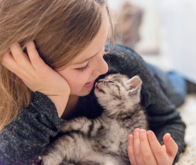 Posso beijar meu gatinho?