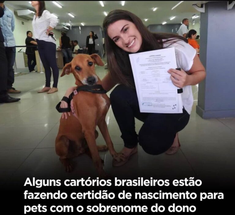 Cartórios brasileiros fazem certidão de nascimento pet