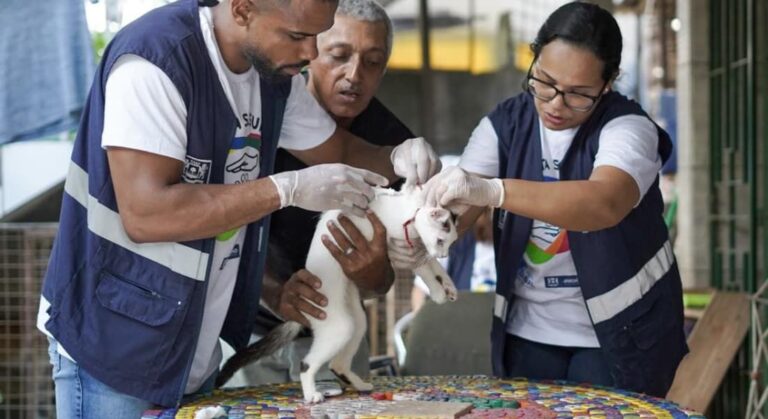 Jaboatão inicia microchipagem gratuita de cães e gatos de protetores e ONG’s